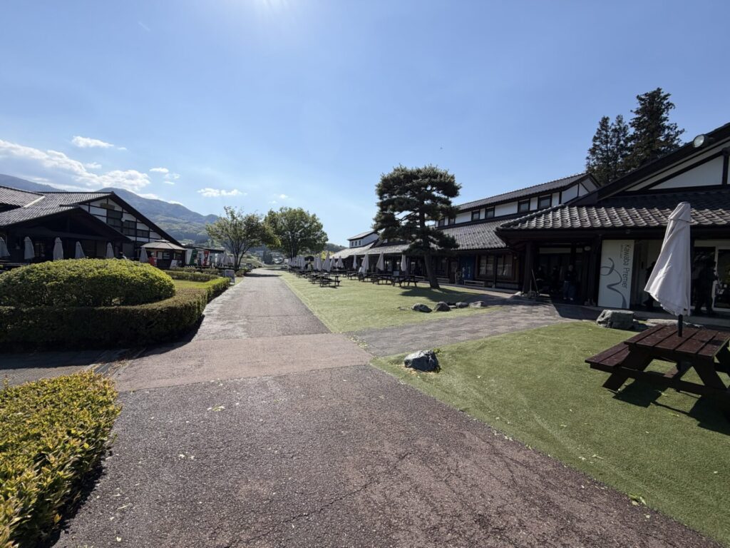 腫れた日の広大な芝生広場。