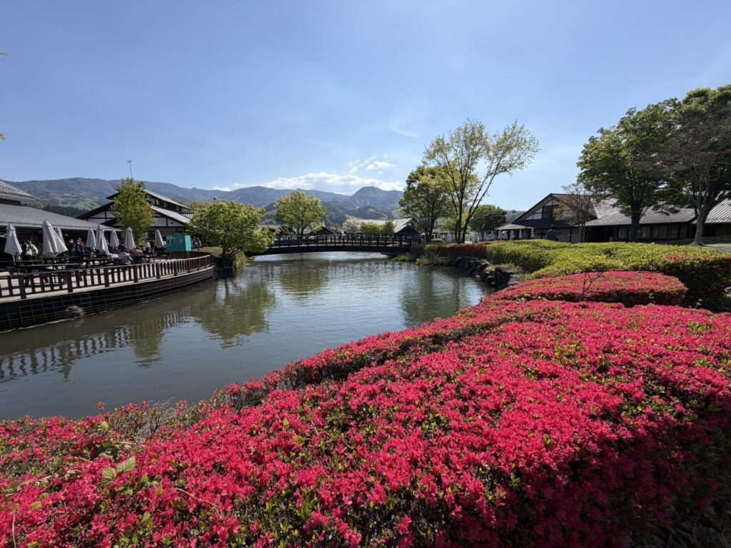 満開のツツジの生垣と穏やかな池とお食事処が映っている風景。