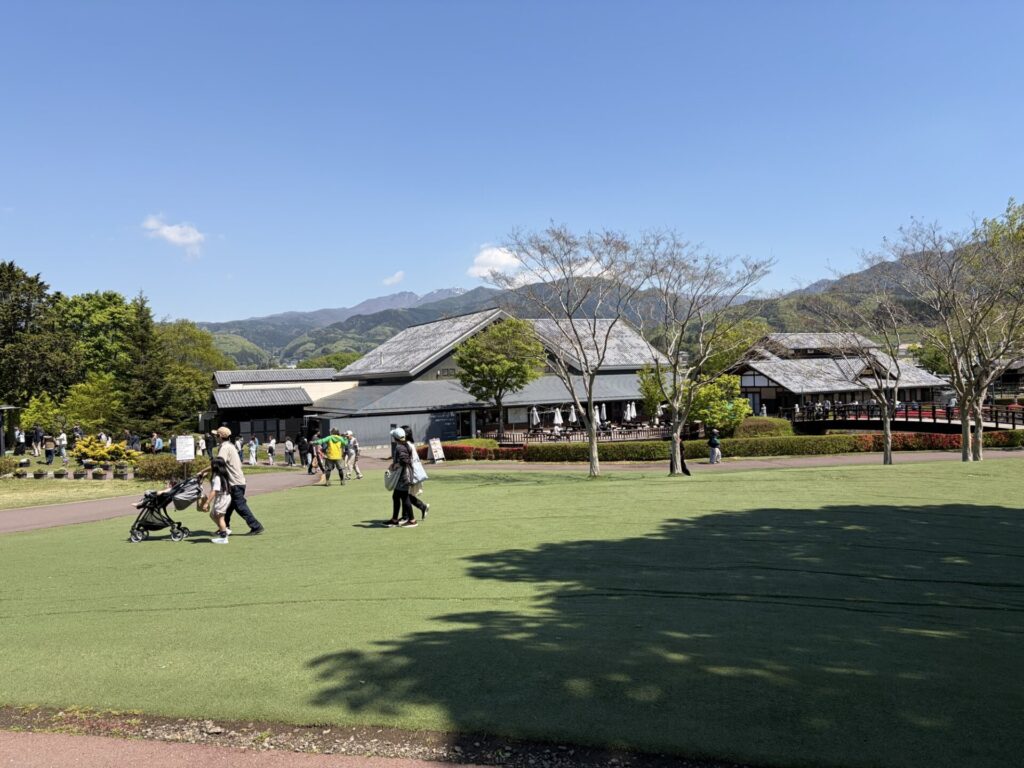 広大な人工芝の奥にはお食事処が並んでいる。山並みも見られ、自然豊かな道の駅。