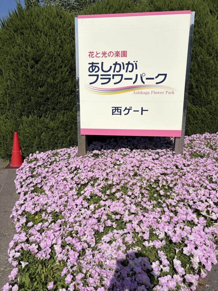 「花と光の楽園 あしかがフラワーパーク 西ゲート」と書かれた看板と、その下に咲くピンク色の花壇