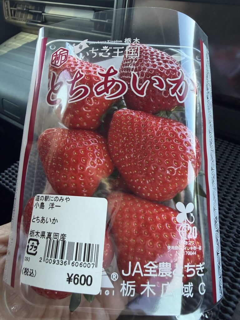 道の駅にのみやで購入した大粒のイチゴ「とちあいか」のパッケージ