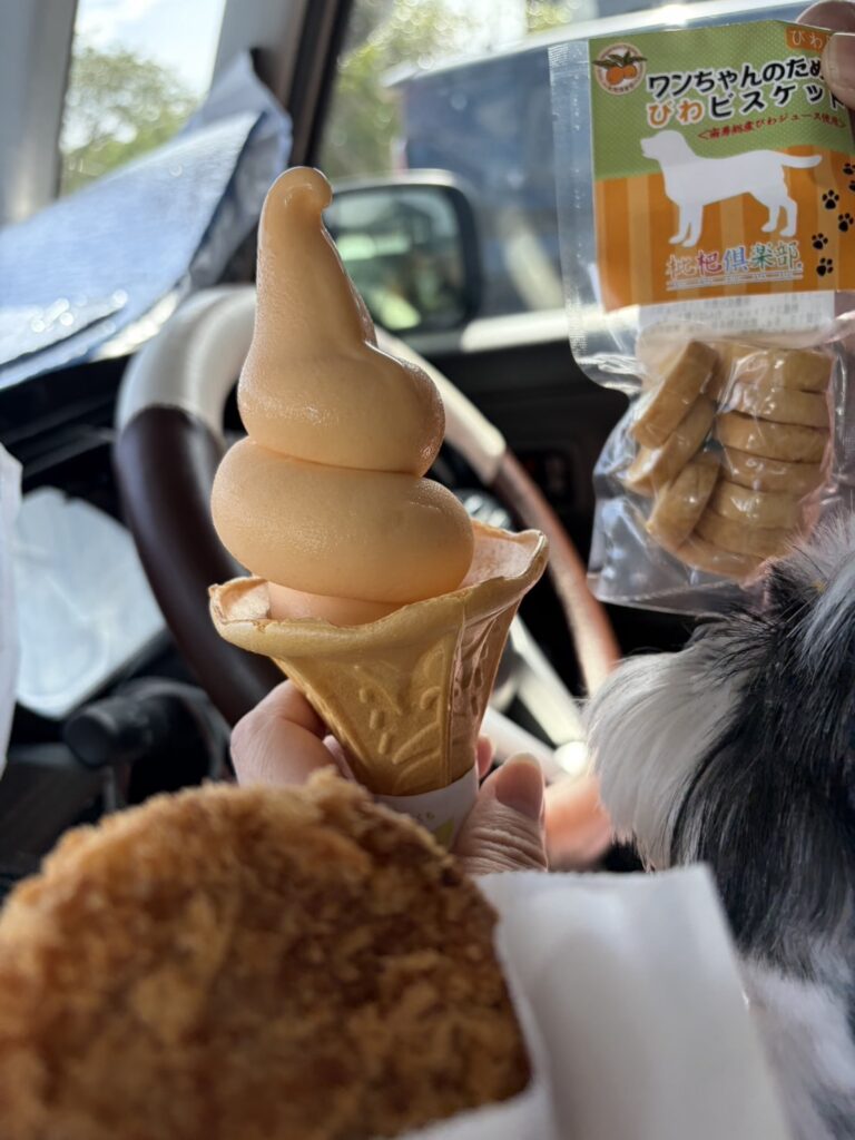 スペーシアベースの車内で、手に持った枇杷ソフトクリーム、イカメンチ、そして枇杷ビスケットを並べた様子