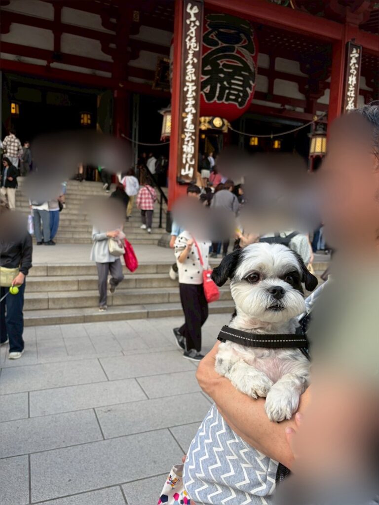 本堂はワンちゃんNG。境内をお～ちゃんと観光します。