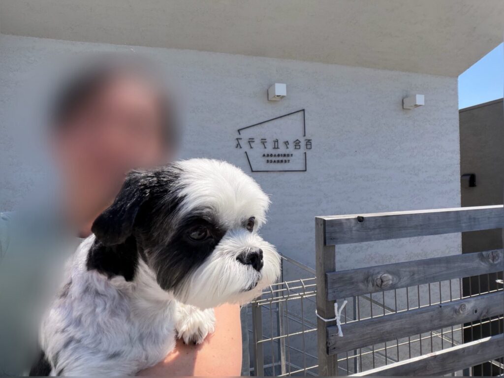 守谷にあるワンちゃんOKなカフェ・リコットの看板の前で記念写真。