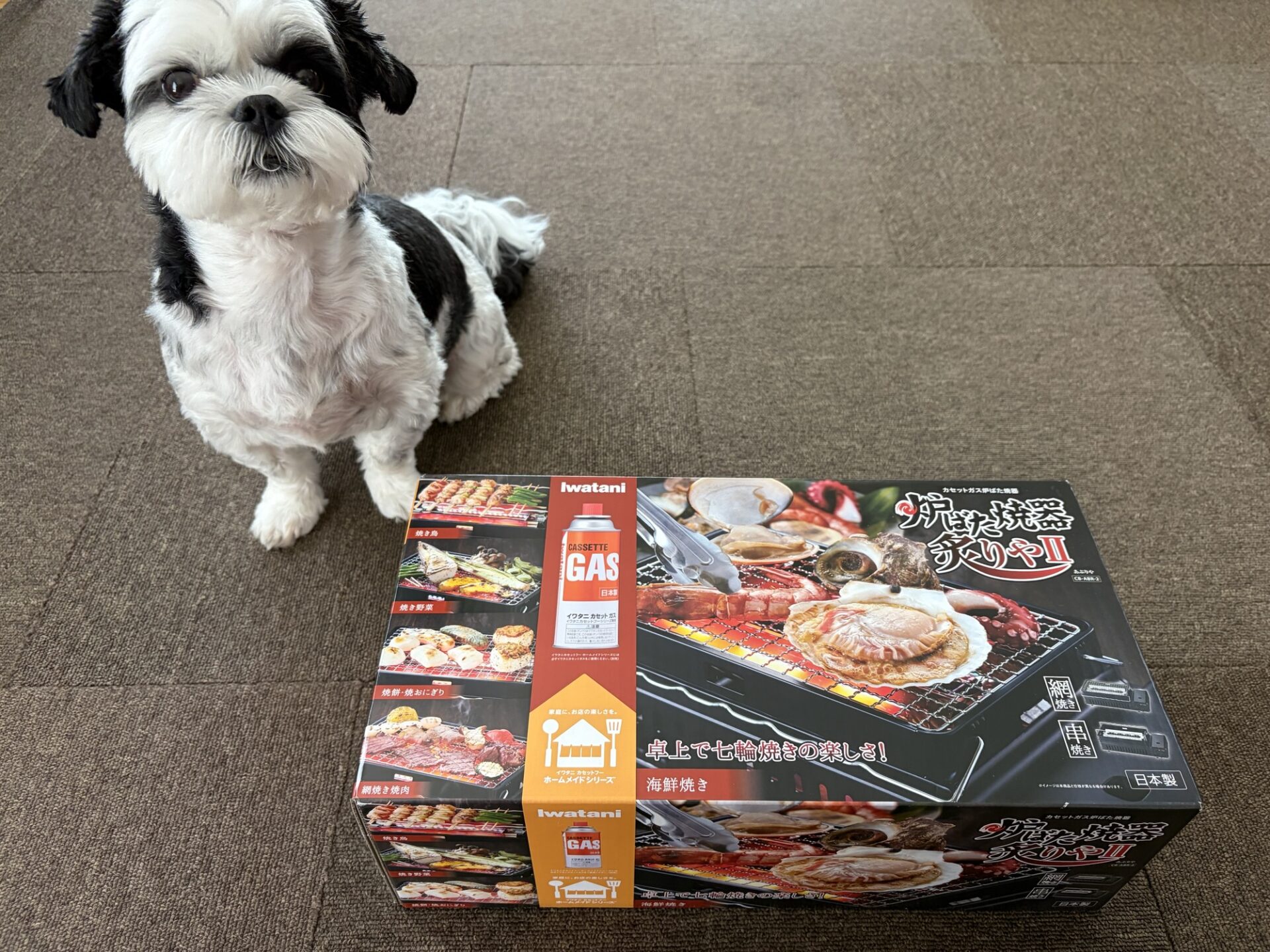 新しく購入したイワタニの炉ばた焼器 炙りやIIのパッケージの箱と並ぶ可愛いシーズー犬