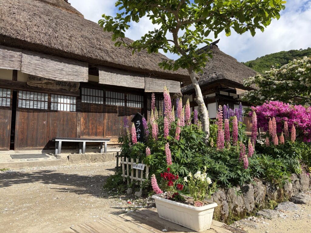 どれも美しいかやぶき屋根
